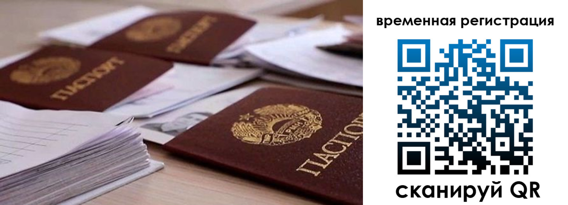 временная регистрация поиск в Светлом